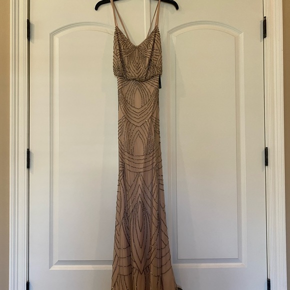 Adrianna Papell gown. Never worn. New with tag. Size 0. - Picture 9 of 10